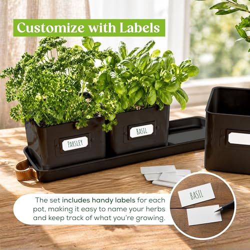 Herb Planter Indoor - Set of 3 Black Indoor Herb Garden Pots for Plants with Leather Handled Tray - Window Sill Plant Shelf - Herb Pots with Drainage Holes and Labels - view 5