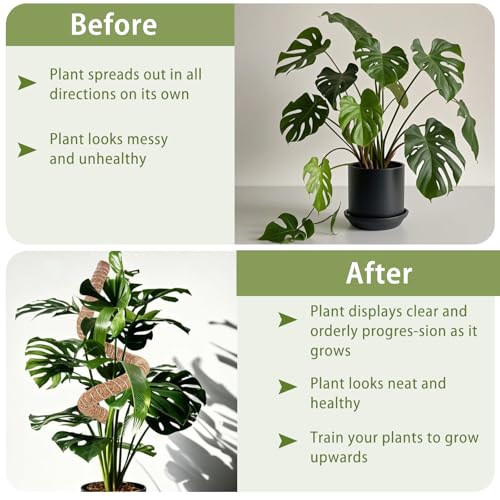 2 Pack Moss Pole, 28 Inch Monstera Plant Support, Moss Poles for Climbing Indoor Plants, Bendable Coco Coir Plant Support Stakes for Potted Plants, Pothos, Philodendron - view 6