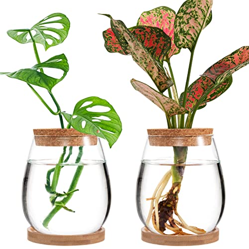 2 Pcs Glass Plants Propagation Stations for Home Office Decor