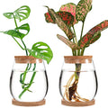 2 Pcs Glass Plants Propagation Stations for Home Office Decor