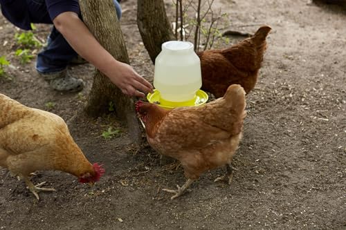 Complete Plastic Poultry Fount | 1 Gallon | Heavy Duty Plastic Gravity Fed Water Container Jar | Waterer for Chickens, Turkeys, Ducks & More | Made in USA (Yellow) - view 2