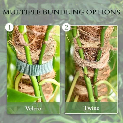 2 Pack 25 Inch Coco Coir Moss Poles for Climbing Indoor Plants - Handmade Plant Support for Creepers to Grow Upwards - view 5