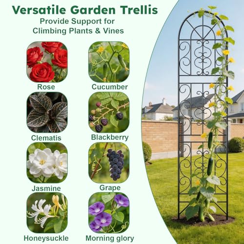 2 Pcs 60" H X 11.8" W Trellis for Climbing Plants Outdoor, Small Metal Garden Trellis for Outside, Sturdy Support Garden Plant Trellis Arch for Rose Cucumber Flower Vine Decor - view 4