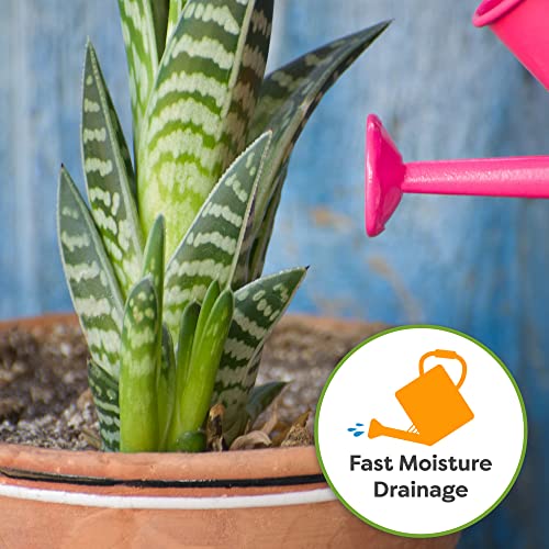 Snake Plant Soil, 4 qt, Coco Coir Potting Mix - view 4