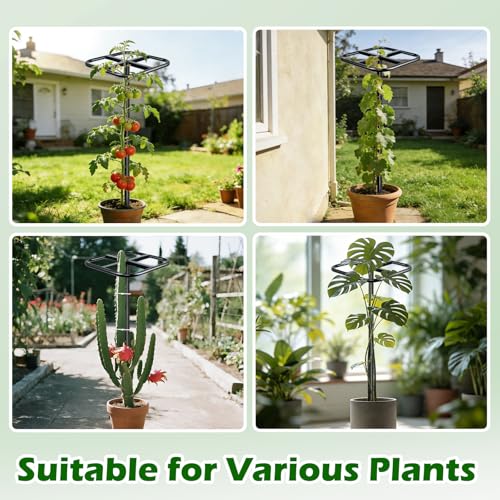 Extra Thick Adjustable Dragon Fruit Trellis, Metal Plant Trellis - view 5