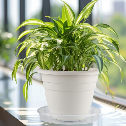 5 Pack 14 Inch Clear Plant Saucers for Pots,Heavy Duty Thick Plastic Plant Trays,Sturdy Water Catch Drip Trays for Indoor & Outdoor Plants - view 3