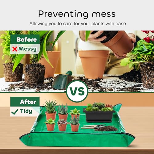 6.5 Inch Bonsai Training Pots with Drainage Holes & Trays, 6 Packs - view 5