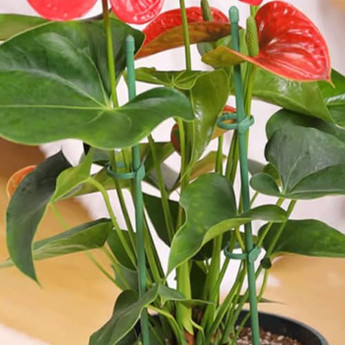 Adjustable Plant Support Stakes, Green PP Fiberglass Upright Growth Guide - view 4