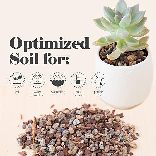 Succulent, Cactus and Bonsai Soil - Jacks Gritty Mix - 12 Gallons – Fast Draining – Fight Root Rot – Optimized pH - view 3