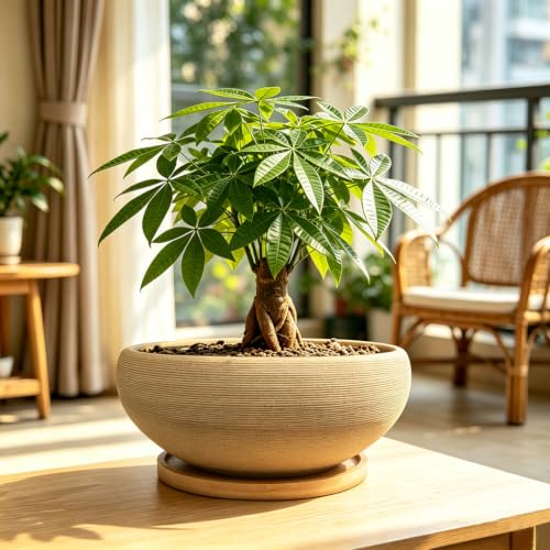 8 inch Round Unglazed Ceramic Bonsai Pot with Bamboo Tray, Shallow Plain Pottery Succulent Planter with Drainage Hole (8”) - view 4