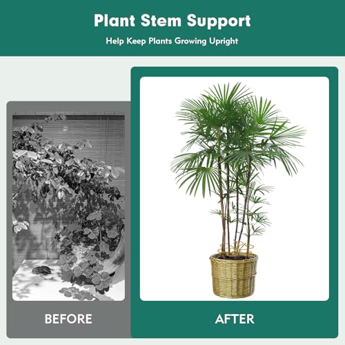Monstera Plant Support Stakes for Indoor Plants, Gold, 5 Pack - view 4