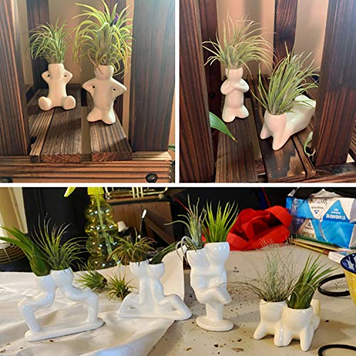 4 Pack Ceramic Air Plant Holder, Cute Air Planter Table Top Display Planters for DIY Planting Home Office Decoration Supplies - view 5