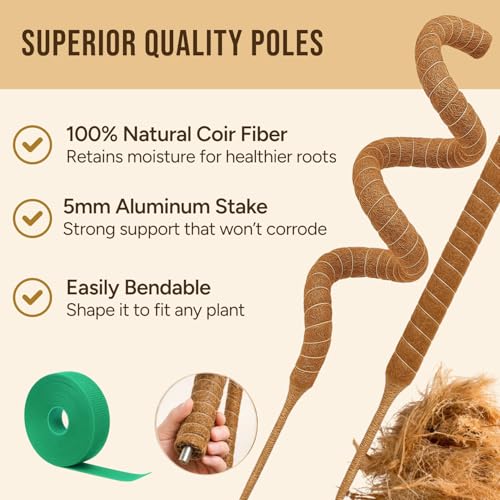 29" Moss Pole Monstera Plant Support, Indoor Plant Stakes - view 2