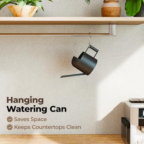Small Watering Can Indoor Outdoor Plant Black Metal Stainless Steel Long Spoutt Flowers Watering Cans for House Garden Plants 10OZ Watering Bottle Cute Decorative for Bonsai - view 4