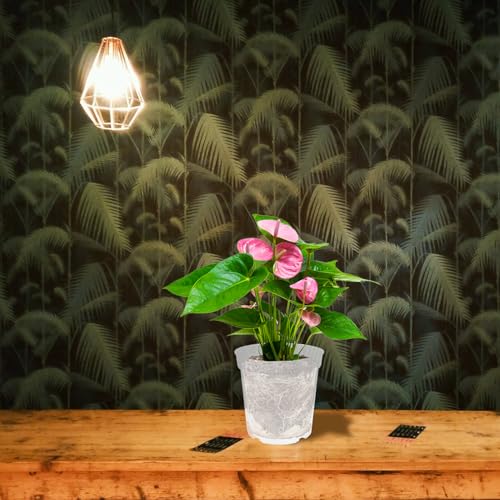 5pcs Plastic Flower Nursery Pots for Orchids and Seedlings, Medium Size (Diameter 10cm X Height 9cm), Outdoor and Indoor Gardening Containers for Plant Propagation and Growing - view 6