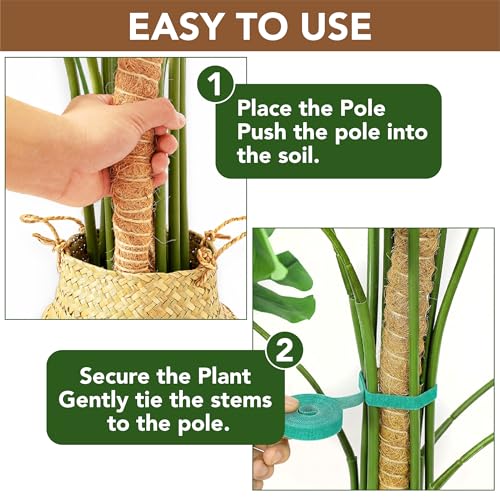 Bendable Moss Pole Monstera Plant Support, 48 Inch, 2 Pack, 10 Feet Plant Ties, Moss Poles for Climbing Plants and Monstera Trellis - view 7