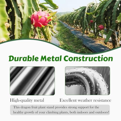 62" Round Dragon Fruit Trellis Adjustable Plant Trellis - view 3