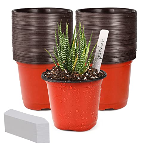 4" Small Plastic Plant Nursery Pots 100Pcs with Labels