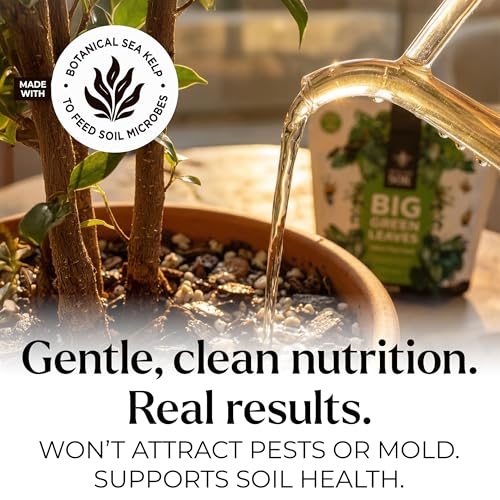 Big Green Leaves Indoor Plant Food – 4X Concentrated Fertilizer, 1 lb - view 4