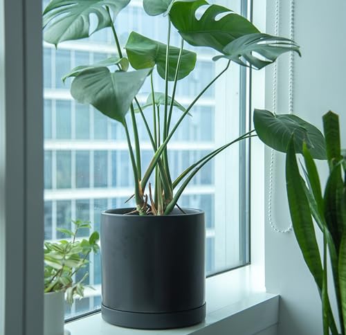 10" Heavy-Duty Plastic Plant Saucer, Black, 21-B-10-1 - view 5