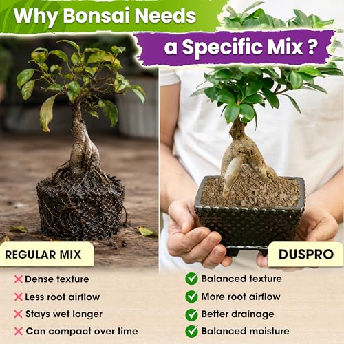 Pre-Mixed & Ready to Use 4-in-1 Bonsai Soil Mix, 2 Quarts - view 3
