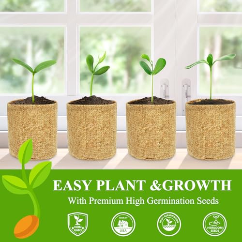 Indoor Herb Garden Kit, Culinary Herb Starter Kit with Seeds & Tools for Beginners, Kitchen Decor, House Warming Gifts for New Home, for Christmas, Ultimate Birthday Gifts for Women Men Mom Dad - view 5