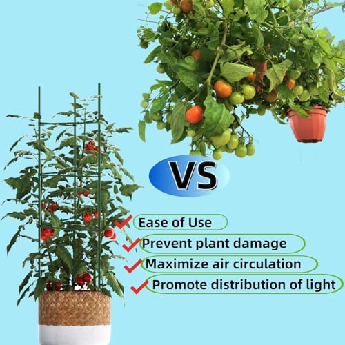 36PCS Plant Stake Arms for Tomato Cage，Expandable 11.8" Plant Supports Trellis Connector Clips for 11mm Garden Plants Stakes Stand Outdoor/Indoor - view 4