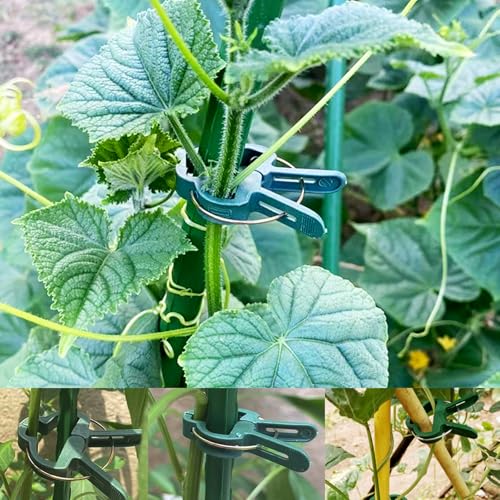 120PCS Plant Support Clips, Gentle Flower Plant Clamps for Supporting Vine Climbing Plants, Gardening Lever Loop Gripper Clips Help Stems Vines Grow Straight Upright - view 6