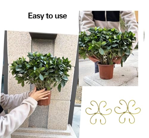 2 Pcs Gold Iron Monstera Support, Plant Support Stakes for Indoor Plants - view 4