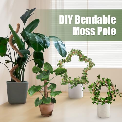 3 Pack Moss Pole 50 Inch Monstera Plant Sticks Support Tall Long Stakes - view 5