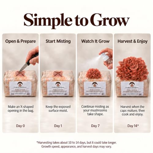 Specialty Trio Oyster Mushroom Kits, Pink Brown White 3-Pack - view 3