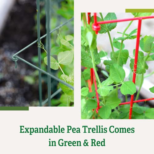 Gardeners Supply Company Sturdy Expandable Tall Pea Trellis for Climbing Plants | Multi-Use Heavy Duty Outdoor Garden Peas, Tomato, Cucumber Steel Plant Support | 9'-8" L x 37" H - Green - view 7