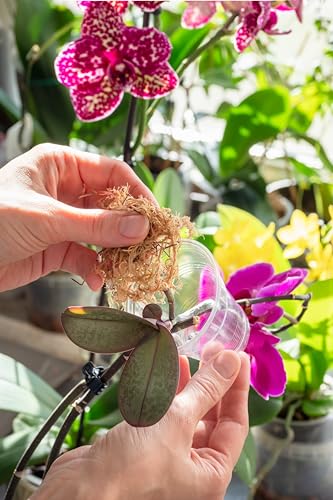 Better-Gro Orchid Bark - Premium Grade Orchid Potting Medium for Potting & OSS - 100% Natural, Long-Fiber Moss for Orchids - view 6