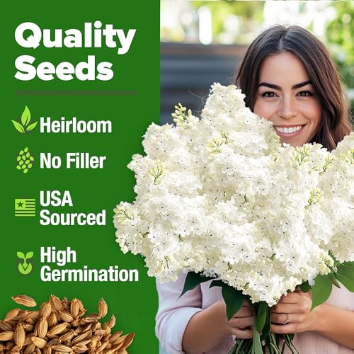Flower Garden Pollinator Bundle – 35,000+ Non-GMO USA Seeds: Japanese White Lilac, Crackerjack Marigold & Autumn Beauty Sunflower for Outdoor Planting & Vibrant Blooms - view 4