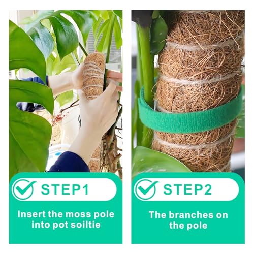 2 Pack Moss Pole Monstera Plant Support with Repotting Mat, 28 Inch Plant Support Stakes, Plant Sticks Support Tall for Indoor Potted Climbing Plants, Pothos, Philodendron - view 6