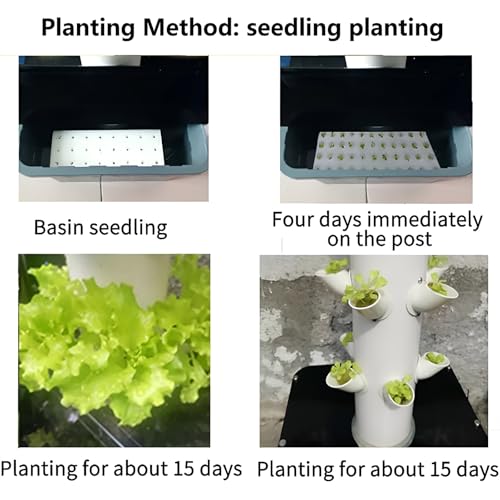 Hydroponic Tower Growing System - Soilless Garden Kit for Lettuce, Herbs, & Vegetables - Indoor/Outdoor Hydroponics Setup for Home Gardening & Urban Farming - view 5