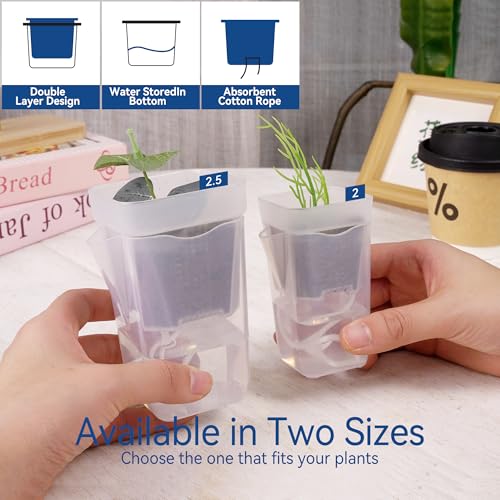 16 Pack 2.5" Medium Self Watering Pots for Indoor Plants, Small Clear Plastic Planters,Self Watering Planters Garden Flower Pots for African Violet, Hoya, Seedlings, Cuttings &Semi-Hydro - view 4