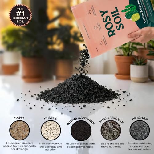 Cactus & Succulent Potting Mix, 4 Quarts - view 4
