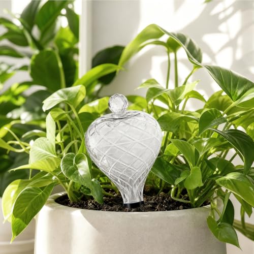 2 Pack 17 oz Large Plant Self Watering Globes to 2 Weeks Watering, Clear - view 6
