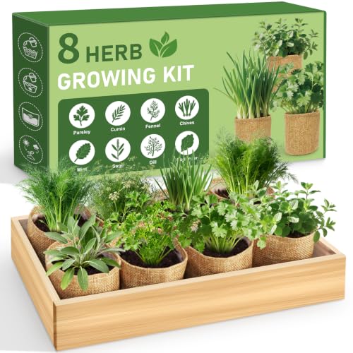 Indoor Herb Garden Kit, Complete Herb Starter Growing Kit with Seeds & Tools, Christmas Birthday Gifts for Women Men Mom Dad, House Warming New Home Kitchen Gifts for Girls Boys Plant Lovers