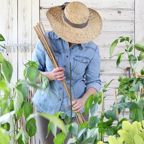 Decorative Plant Support Stakes, Tree Branch Shape, Climbing Frame - view 6