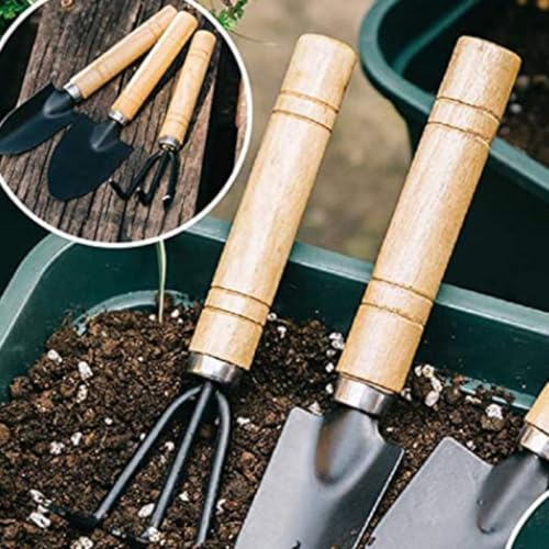 Wooden Succulent Planting Tool Set 10pcs for Indoor Seedlings - view 5