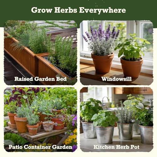 Lush&Dew Holistic Family Apothecary Seed Chest, 30000+ Medicinal Herb Seeds - view 6