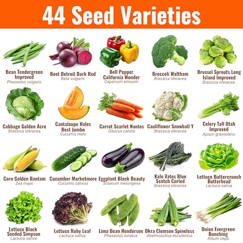 Vegetable, Fruit & Herb Seeds, 44 Packs, Non-GMO, 15,000+ Seeds - view 2