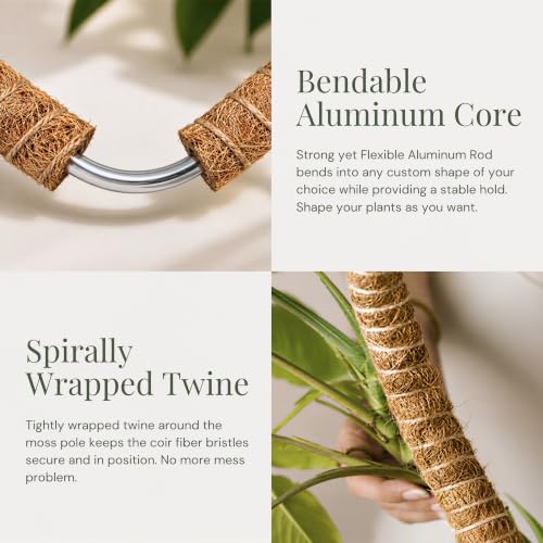 2 Pack 30" Moss Pole for Plants – Moss Pole Monstera Plant Support - view 3