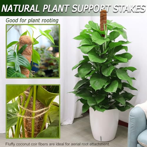 2 Pack 60'' Bendable Moss Pole for Monstera & Pothos - Tall Handmade Coco Coir Plant Support Stakes for Large Climbing Indoor Plants, Potted Houseplant Trellis Accessories - view 6