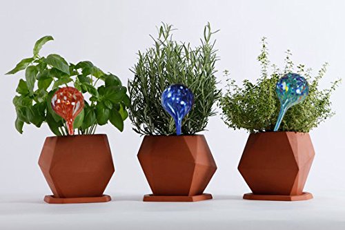 Aqua Plant Watering Globes - Automatic Watering Ball Bulbs - Self Watering Plant Glass Bulbs System (16, Small) - view 4