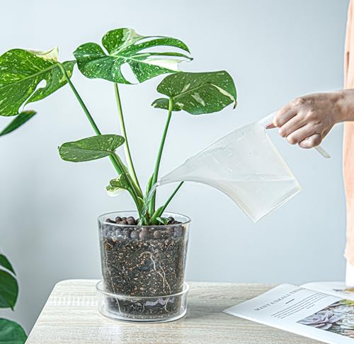 4.5 Inch 6.5 Inch Clear Acrylic Houseplants Planter Pot with Tray, Orchid Pot with Drainage Holes, Deep Saucer for Bottom Watering, Transparent Containers for Indoor Plants, Herbs, 91-B-W - view 7