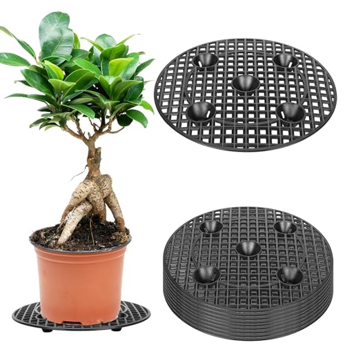 Plant Level Pot Elevator 12 Inch Plant Riser for Pots 10 Pieces Black Plant Stands to Prevent Rot and Damage Plant Runoff Tray for Indoor Outdoor Garden Flower, Patio and Deck Floor Protector