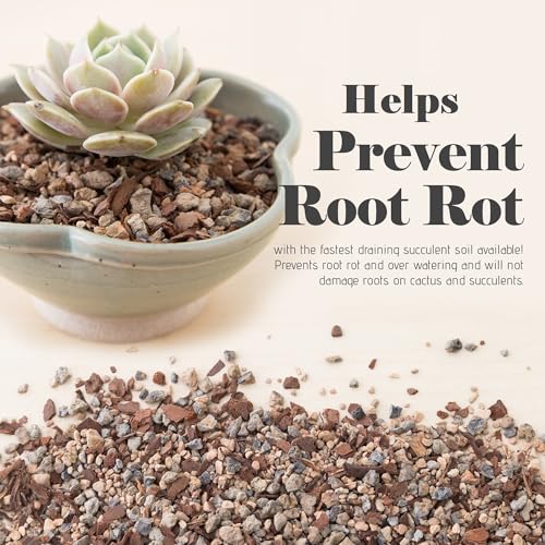 Succulent and Cactus Soil - Jacks Gritty Mix #111 - 2 Quarts – Fast Draining – Fight Root Rot – Optimized pH - view 2